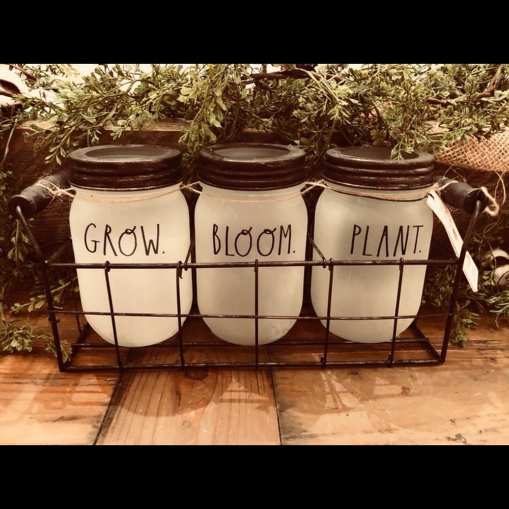 Rae Dunn mason jars lights